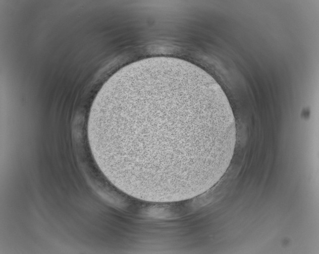 X0000116770171201001281640