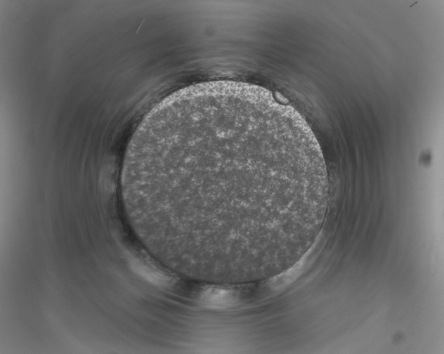 X0000116770174201001281640