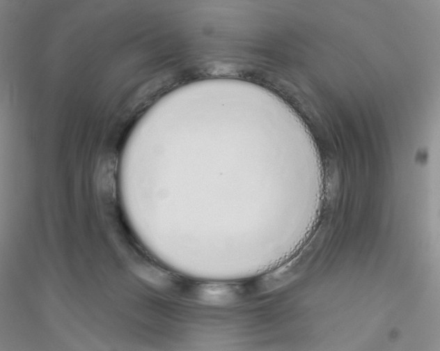 X0000116770175201001281640