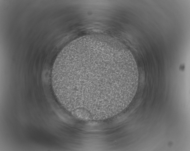 X0000116770177201001281641