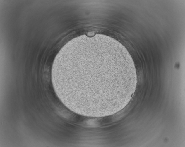 X0000116770178201001281641