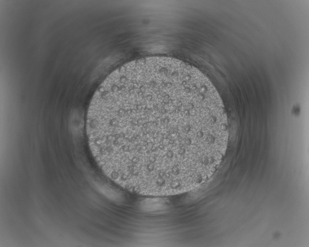 X0000116770179201001281641