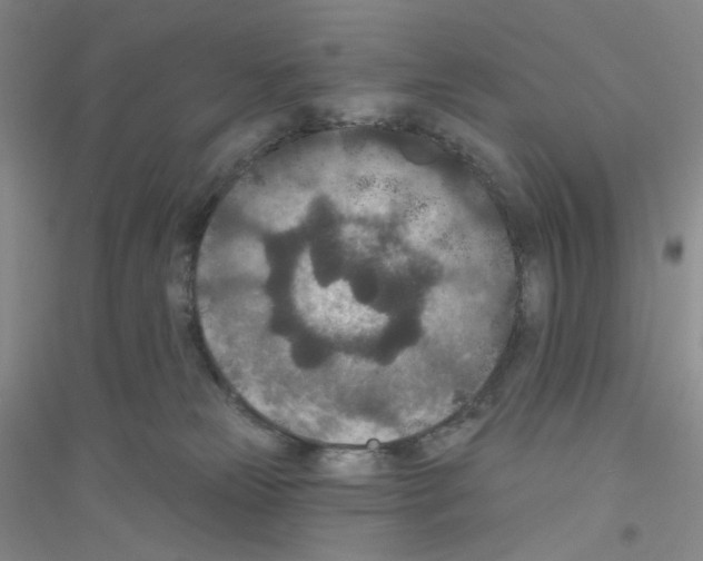 X0000116770181201001281641
