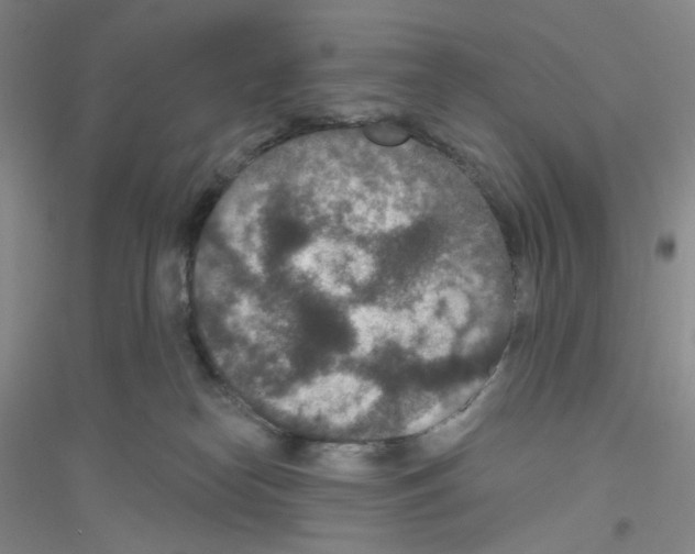 X0000116770182201001281641