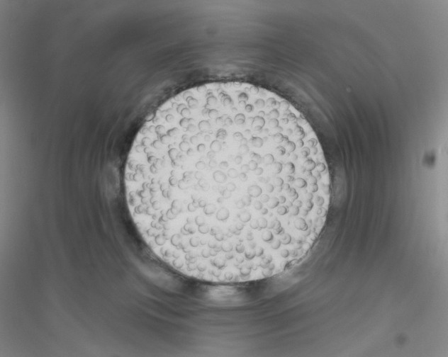 X0000116770183201001281641