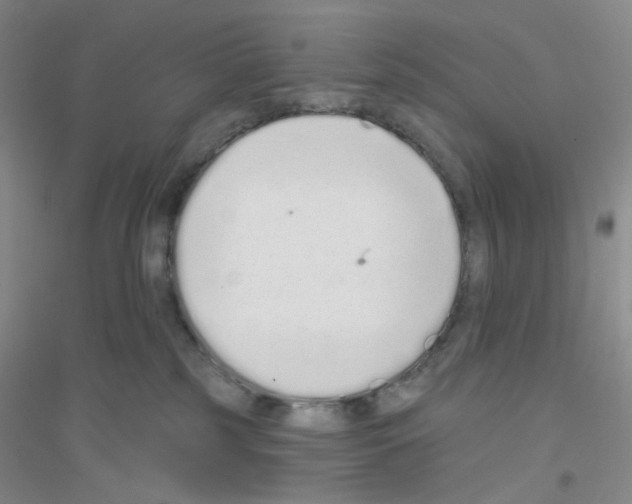 X0000116770185201001281641