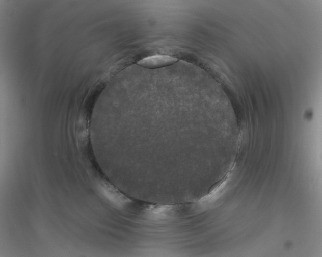 X0000116770186201001281641