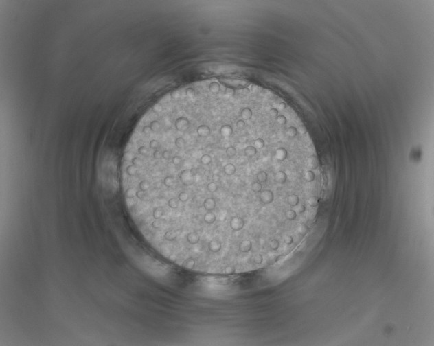 X0000116770187201001281641