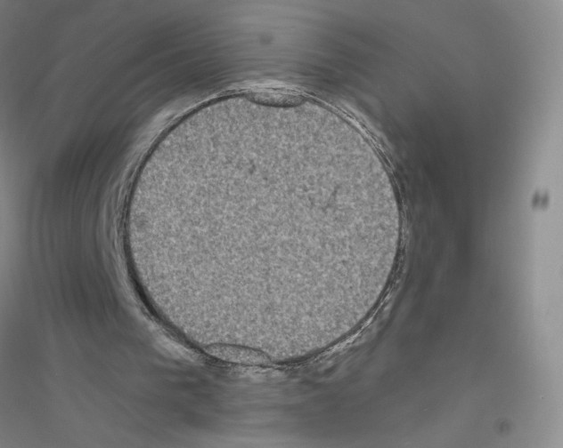 X0000116770193201001281640