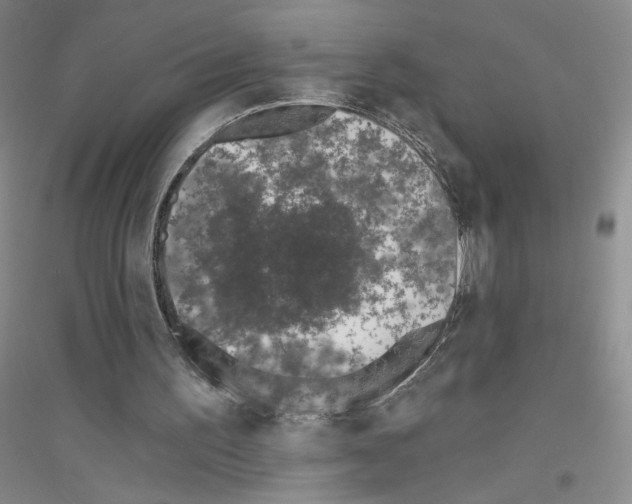 X0000116770195201001281640