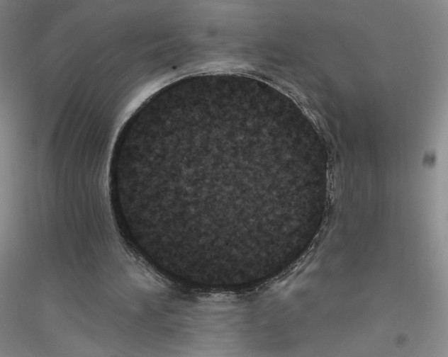 X0000116770196201001281640