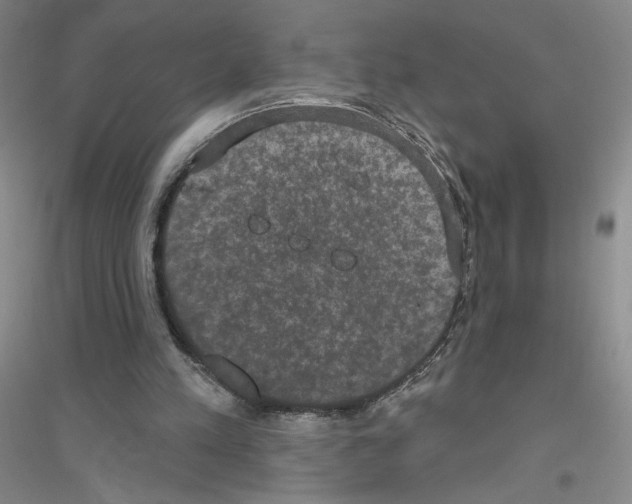 X0000116770197201001281640