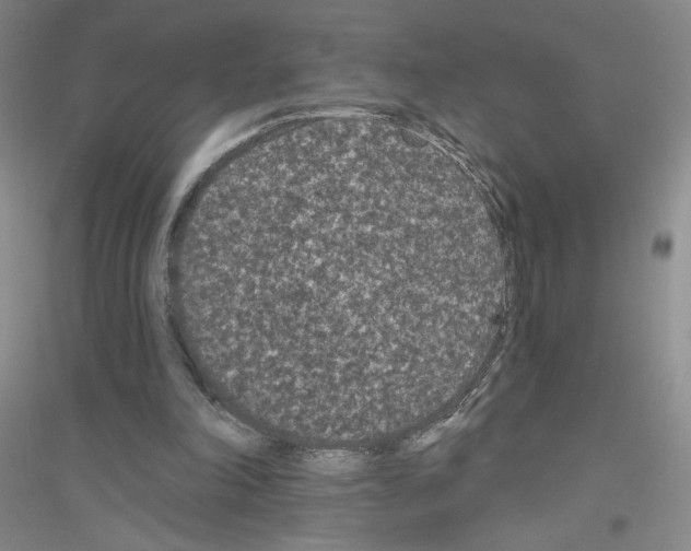 X0000116770198201001281640