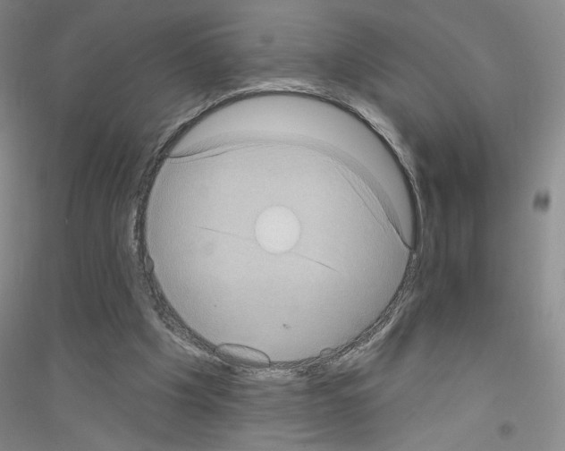 X0000116770201201001281640