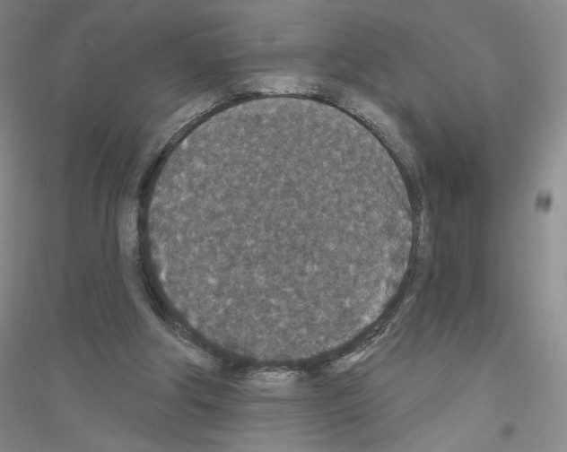 X0000116770202201001281640