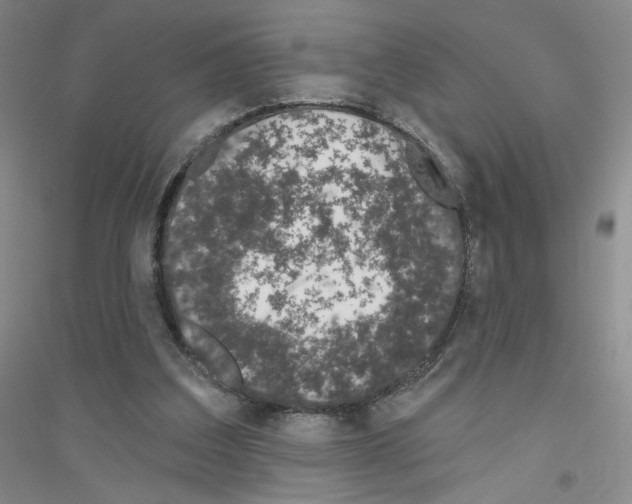 X0000116770203201001281640