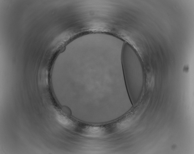 X0000116770205201001281640