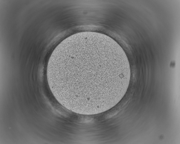 X0000116770206201001281640