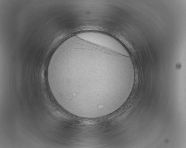 X0000116770207201001281640