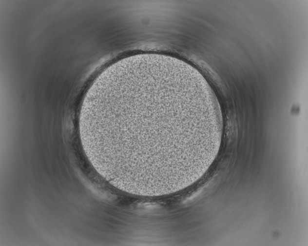 X0000116770208201001281640