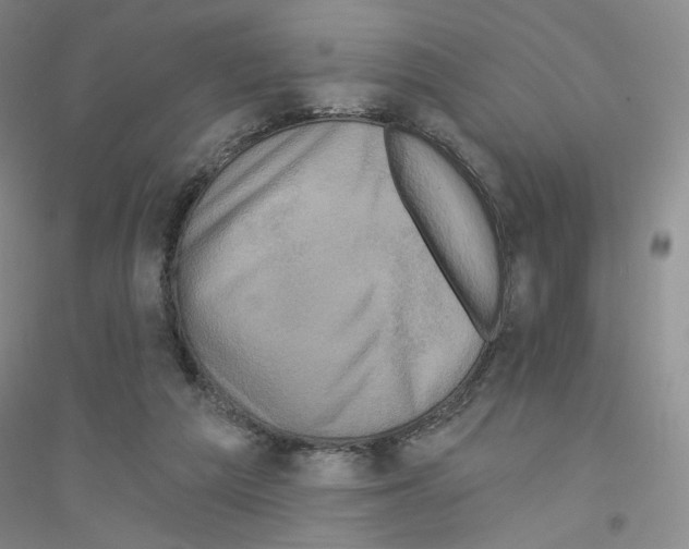 X0000116770209201001281640