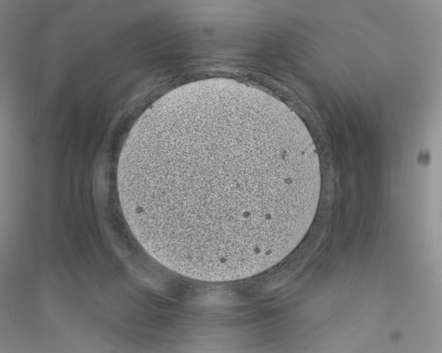 X0000116770210201001281640