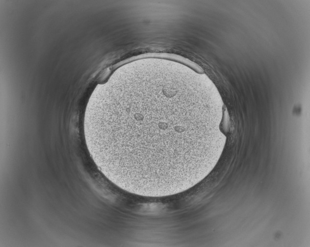 X0000116770212201001281640