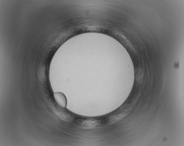 X0000116770213201001281640