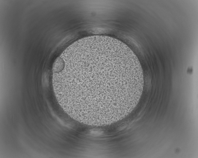 X0000116770214201001281640