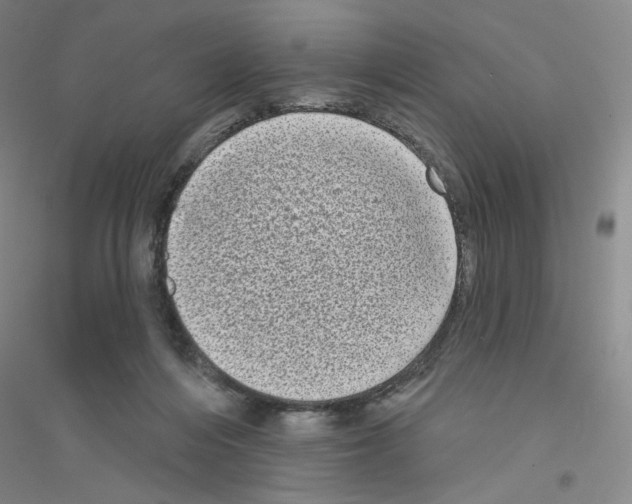 X0000116770216201001281640