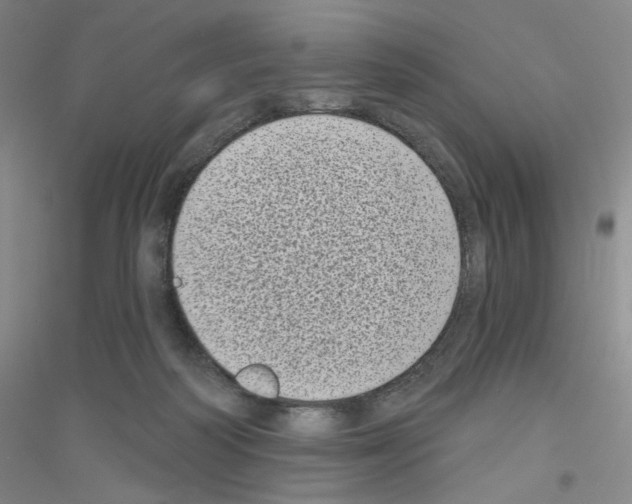 X0000116770218201001281640