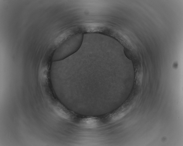 X0000116770219201001281640