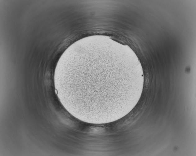 X0000116770220201001281640