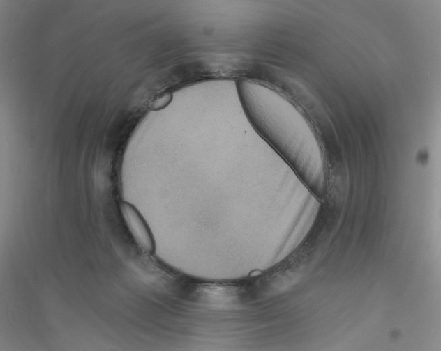 X0000116770221201001281640