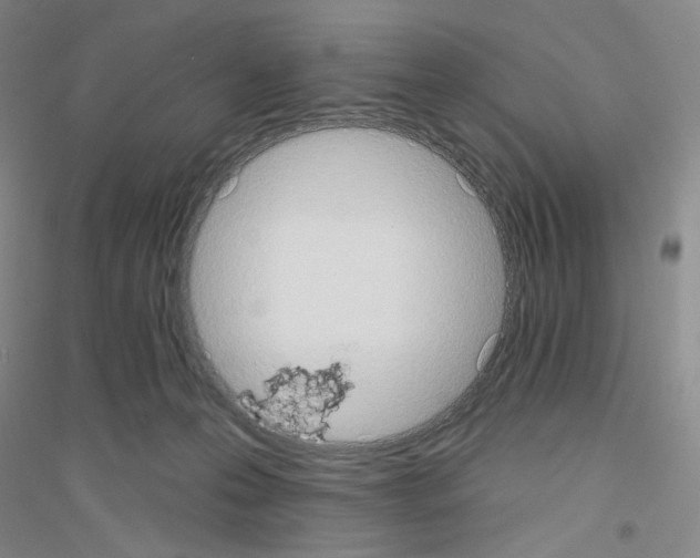 X0000116770223201001281640