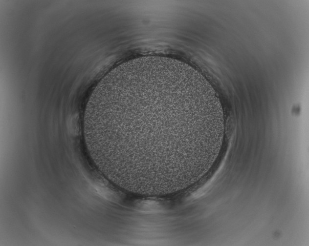 X0000116770224201001281640