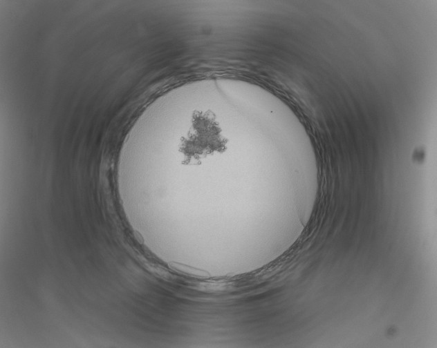 X0000116770225201001281640