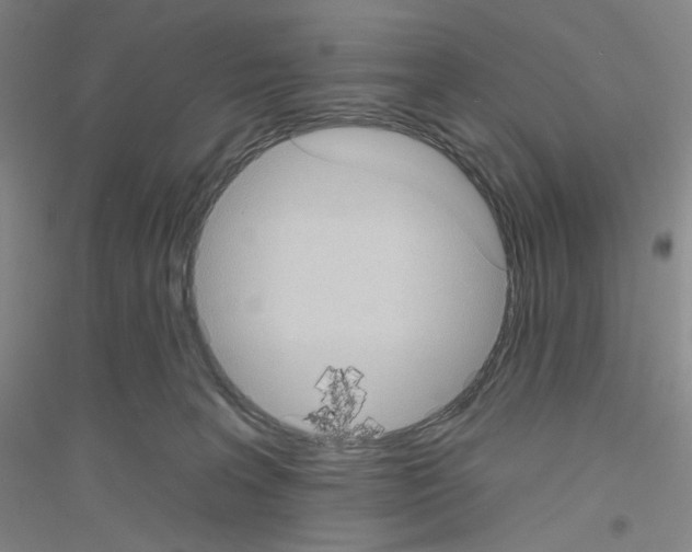 X0000116770227201001281640