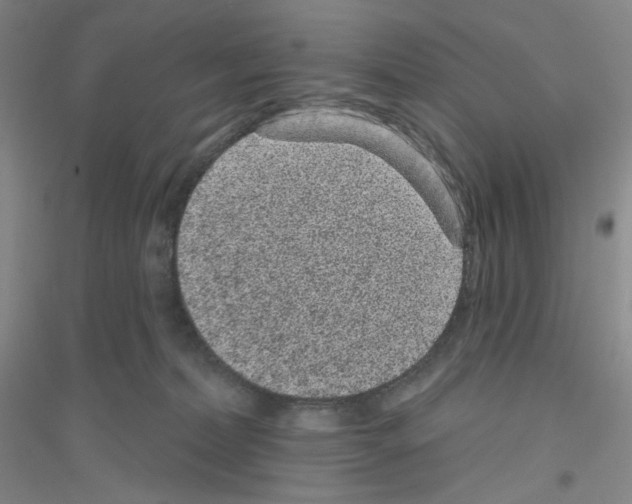 X0000116770228201001281640