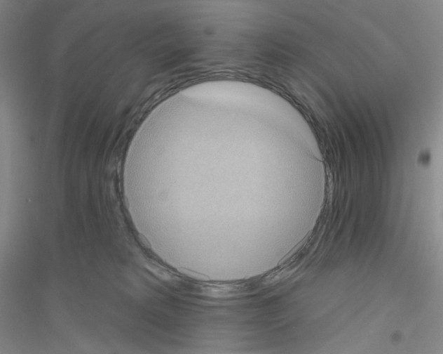 X0000116770229201001281640
