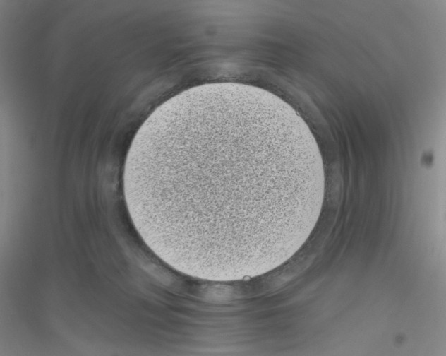 X0000116770230201001281640