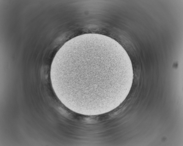 X0000116770232201001281640