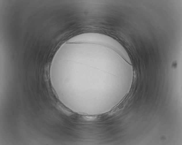 X0000116770233201001281640