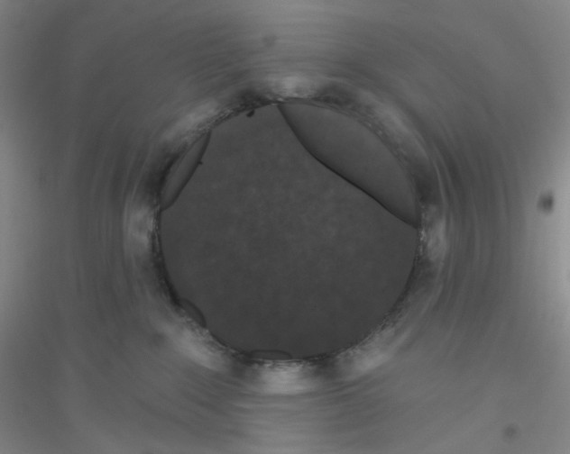 X0000116770235201001281639