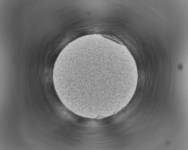 X0000116770236201001281639