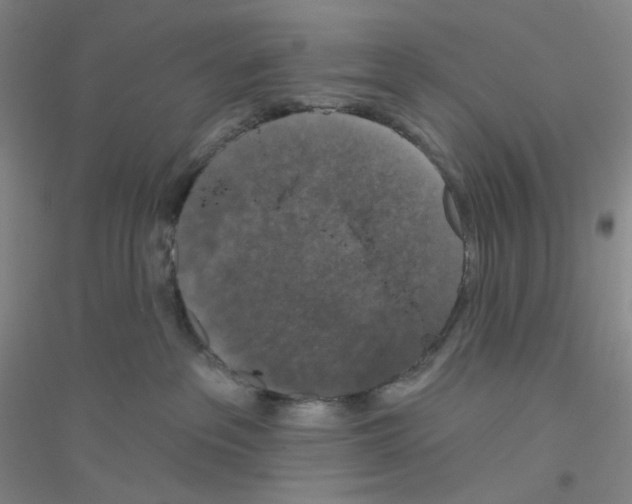 X0000116770237201001281639