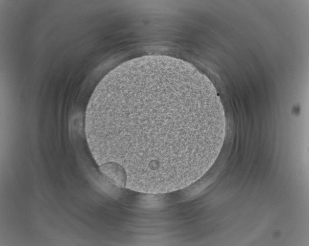 X0000116770238201001281639