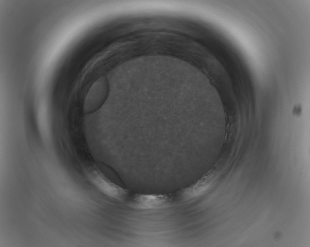 X0000116770239201001281639