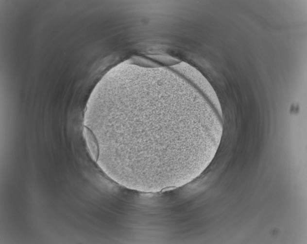 X0000116770240201001281639