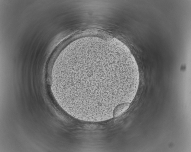 X0000116770242201001281638